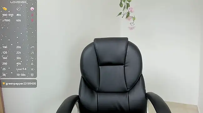 Snapshot of Ninna--1 chatting on January 15, 2025, 4:11 pm Ninna--1 online show from January 15, 2025, 4:11 pm