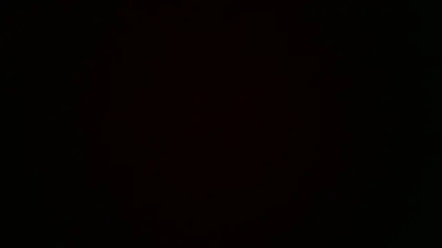 SilverandFox online show from March 22, 2025, 3:09 pm