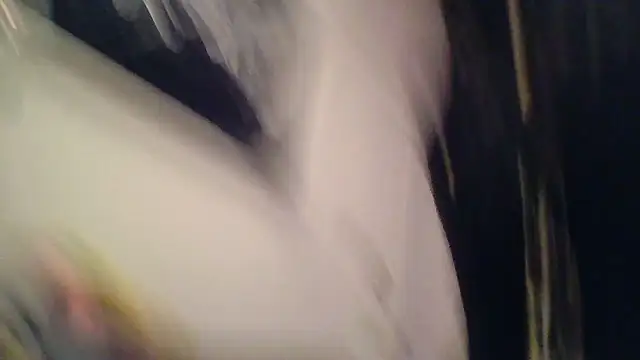 SilverandFox online show from November 5, 2025, 9:34 am