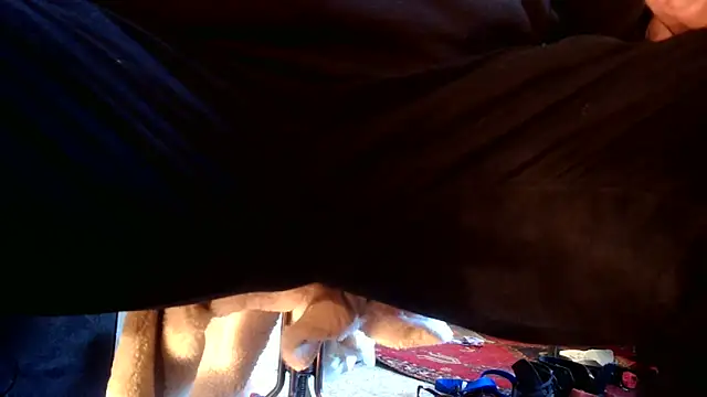 SilverandFox online show from September 10, 2025, 5:45 pm