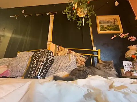 Spacetrvin online show from January 6, 2025, 1:31 am