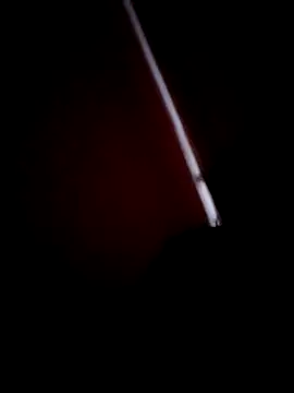 Soniya 444 online show from November 22, 2025, 9:08 am