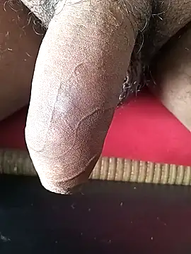 Arasu  online show from February 1, 2025, 10:48 am