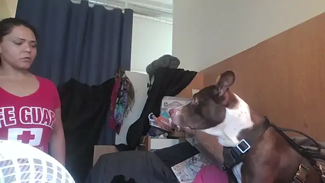 Snapshot of Dnasty408 chatting on November 7, 2025, 8:13 pm Dnasty408 online show from November 7, 2025, 8:13 pm