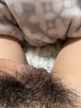 toto3119 online show from December 23, 2024, 3:11 pm