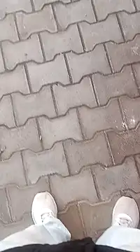 Snapshot of playboyz77 chatting on December 29, 2024, 11:40 am playboyz77 online show from December 29, 2024, 11:40 am