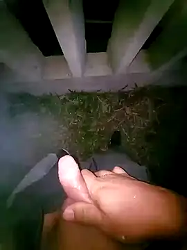 tesaodaweb online show from April 22, 2026, 9:27 am