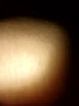 Snapshot of tesaodaweb chatting on January 9, 2026, 12:34 pm tesaodaweb online show from January 9, 2026, 12:34 pm