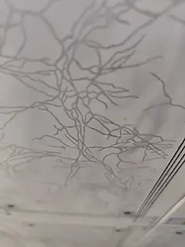 Snapshot of dreamers_dick chatting on January 2, 2025, 4:13 pm dreamers dick online show from January 2, 2025, 4:13 pm