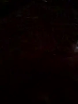 gamdschie49 online show from March 13, 2026, 4:56 pm