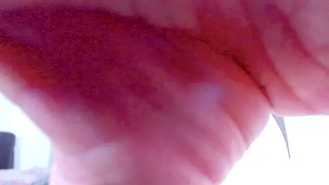 violetadumsper online show from December 16, 2025, 3:44 am