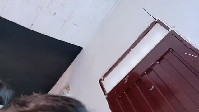 Snapshot of amabel_zambrano chatting on November 5, 2025, 1:47 pm amabel zambrano online show from November 5, 2025, 1:47 pm