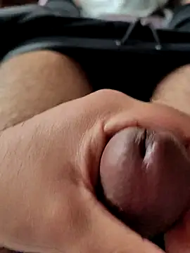 pitorico bb online show from September 19, 2025, 1:48 pm