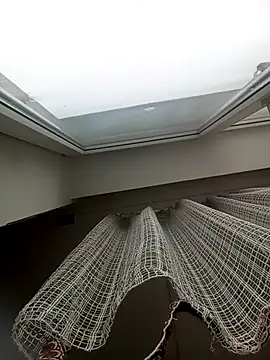 Lauren Amabel online show from February 6, 2026, 9:38 am