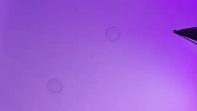 kathy bakerr online show from March 18, 2026, 1:24 pm