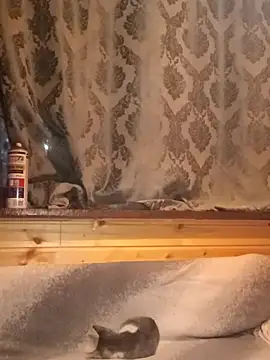 rosse26830 online show from September 28, 2025, 4:25 pm