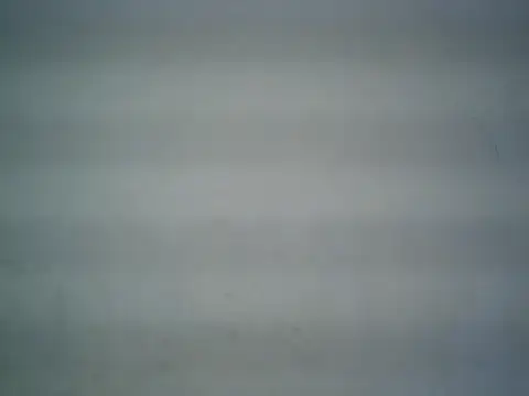 Snapshot of michel1520 chatting on May 26, 2026, 4:32 am michel1520 online show from May 26, 2026, 4:32 am