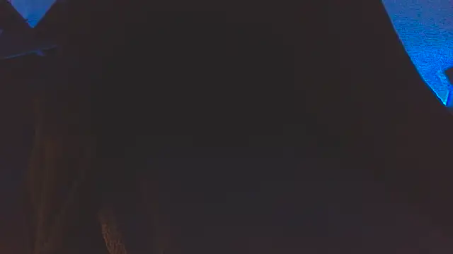 BDSMCock Stu online show from October 4, 2025, 11:17 pm