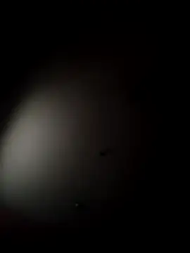 aAsdGf online show from February 7, 2026, 6:21 am