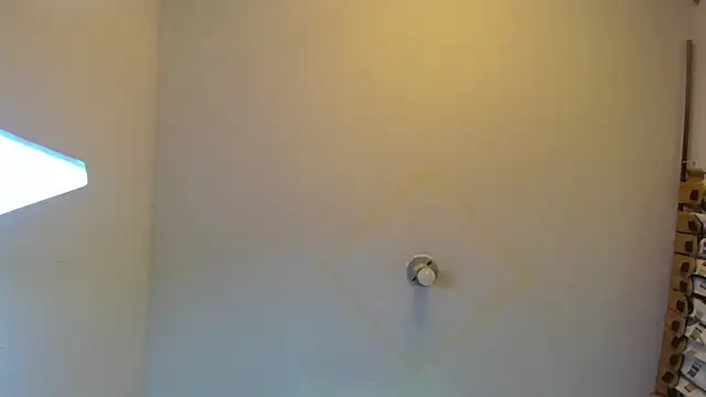 wandaliones online show from February 28, 2025, 2:42 pm