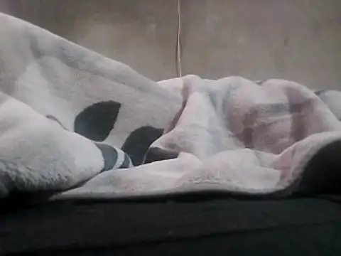 LaneYam online show from April 2, 2026, 5:03 am