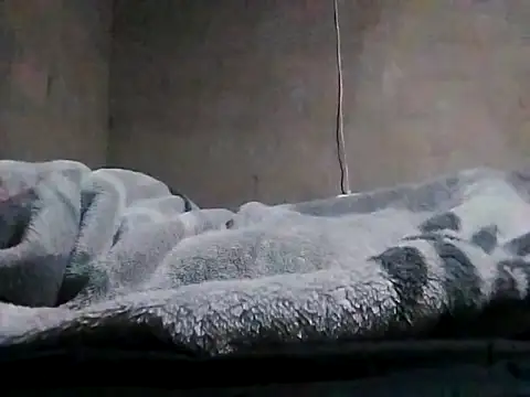 LaneYam online show from March 24, 2026, 8:09 pm