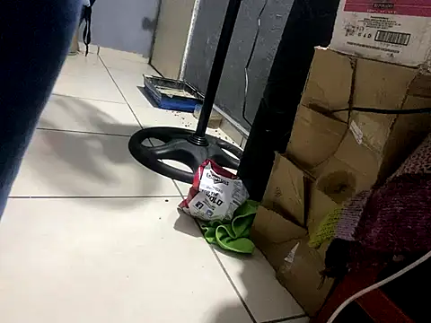 HeavenlyLepus online show from October 2, 2025, 11:35 am