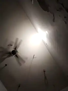 Bhavya Bhan online show from July 31, 2026, 7:22 pm