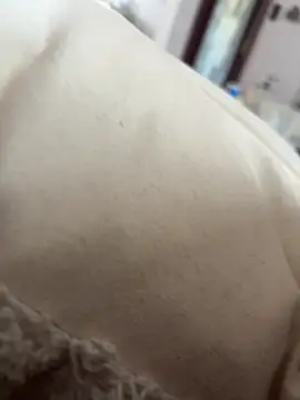 hengst2312 online show from February 21, 2025, 11:01 am