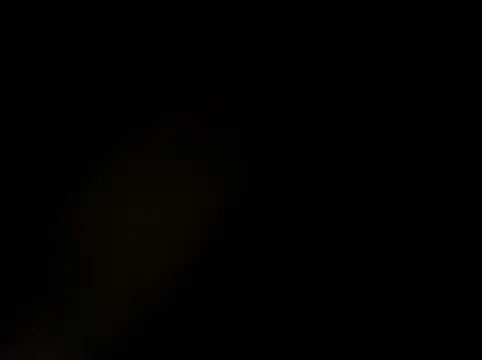 Snapshot of RoastingStatus chatting on April 15, 2026, 7:47 am RoastingStatus online show from April 15, 2026, 7:47 am