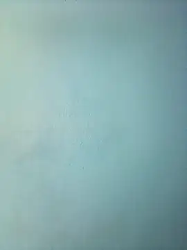 randit7 online show from March 12, 2025, 11:54 am