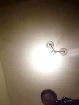 petxxl online show from November 29, 2025, 8:14 am