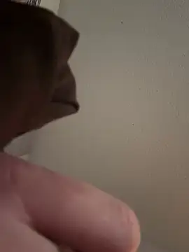 PhattPinxkTaco online show from March 13, 2025, 12:27 am