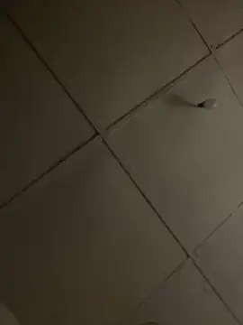 Boneca25 online show from November 16, 2025, 6:12 pm