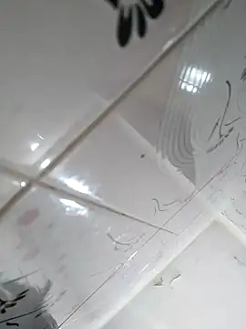 letsfunss008 online show from February 6, 2025, 8:56 pm