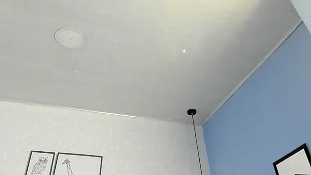 Snapshot of ninna_curly chatting on February 13, 2026, 4:56 am ninna curly online show from February 13, 2026, 4:56 am