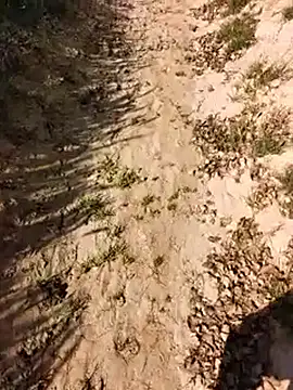 xmanrawan2 online show from February 24, 2026, 5:08 am