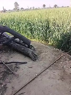 xmanrawan2 online show from February 23, 2026, 5:09 am