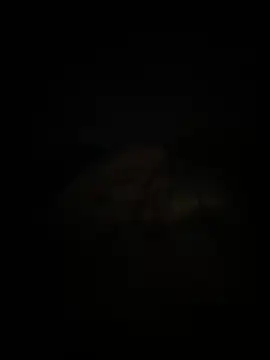 Snapshot of adelin20 chatting on November 19, 2025, 6:19 pm adelin20 online show from November 19, 2025, 6:19 pm