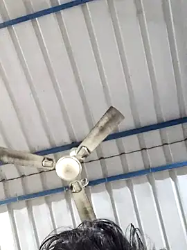 Snapshot of birds0641 chatting on February 25, 2025, 5:52 am birds0641 online show from February 25, 2025, 5:52 am