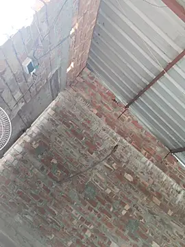 Snapshot of birds0641 chatting on October 24, 2025, 7:51 am birds0641 online show from October 24, 2025, 7:51 am