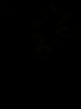 jhonnes  online show from January 11, 2026, 3:35 am