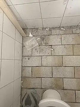 wadmma online show from November 19, 2025, 8:47 am