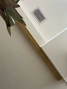 Snapshot of Bicho13132 chatting on October 5, 2025, 6:26 am Bicho13132 online show from October 5, 2025, 6:26 am