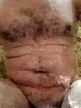 Arabian online show from November 10, 2025, 2:44 pm