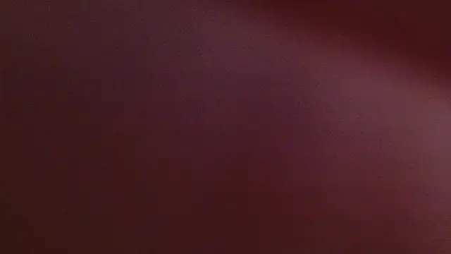 lissa palmer online show from November 12, 2025, 3:10 am