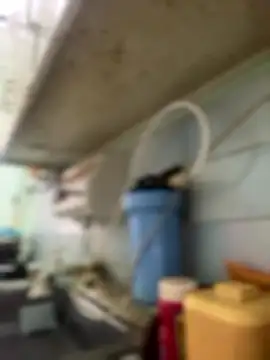 Carola-Ross online show from January 6, 2026, 4:33 pm