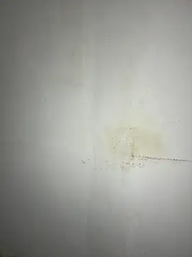 Hamza-Maroki online show from November 20, 2025, 9:36 pm