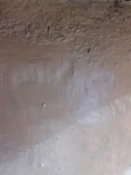 Lizza boudi online show from February 24, 2025, 4:15 pm