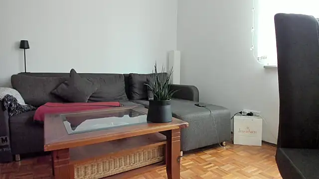 molicaremolicare online show from October 27, 2025, 8:37 am